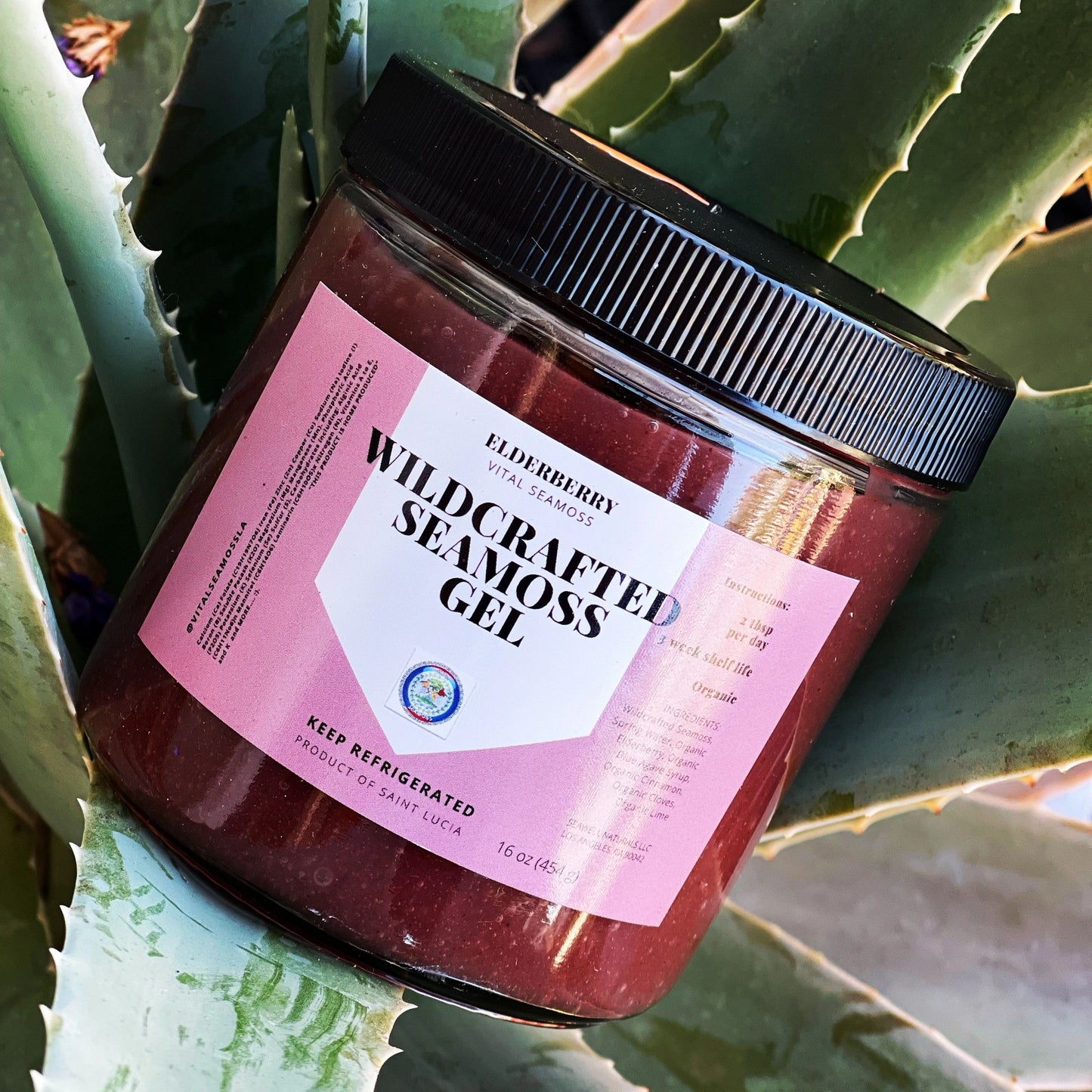 Wildcrafted Elderberry Sea moss