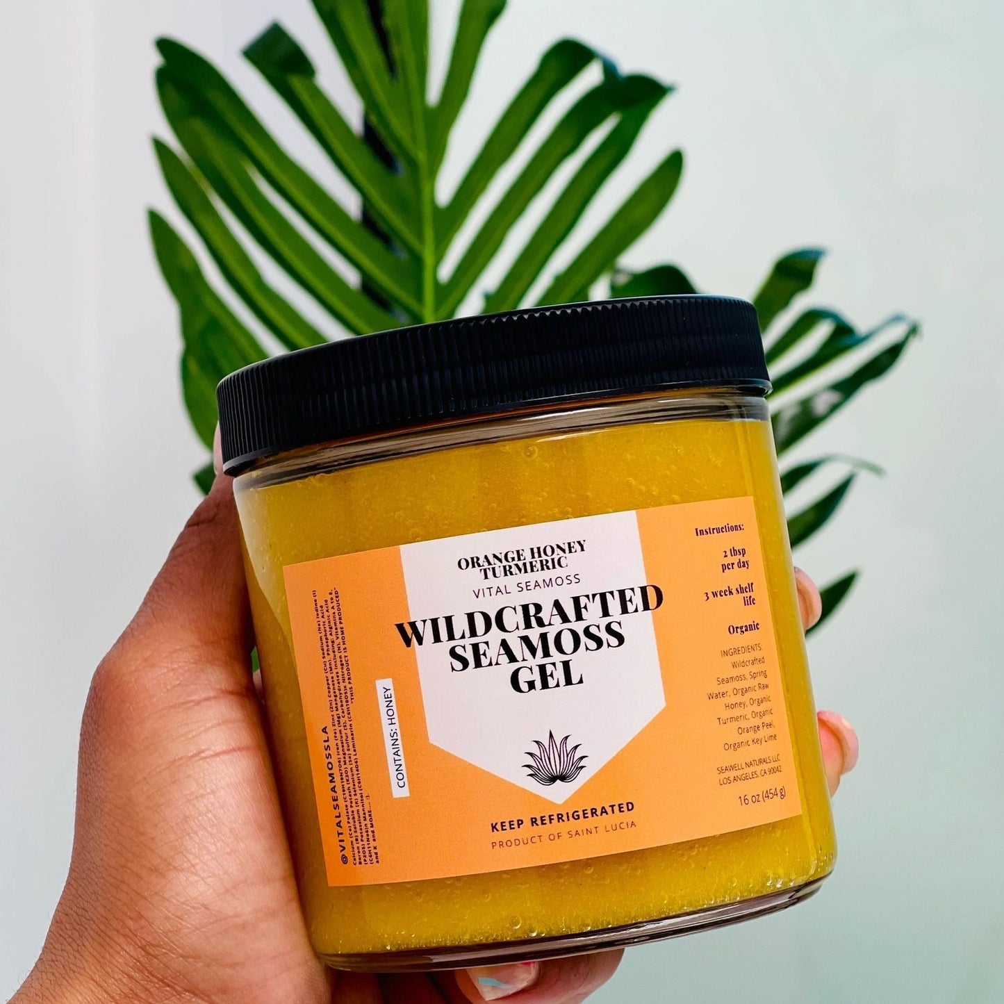 Wildcrafted Orange Turmeric Sea moss