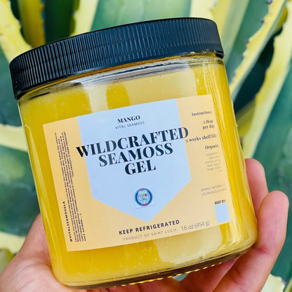 Wildcrafted Mango Sea moss