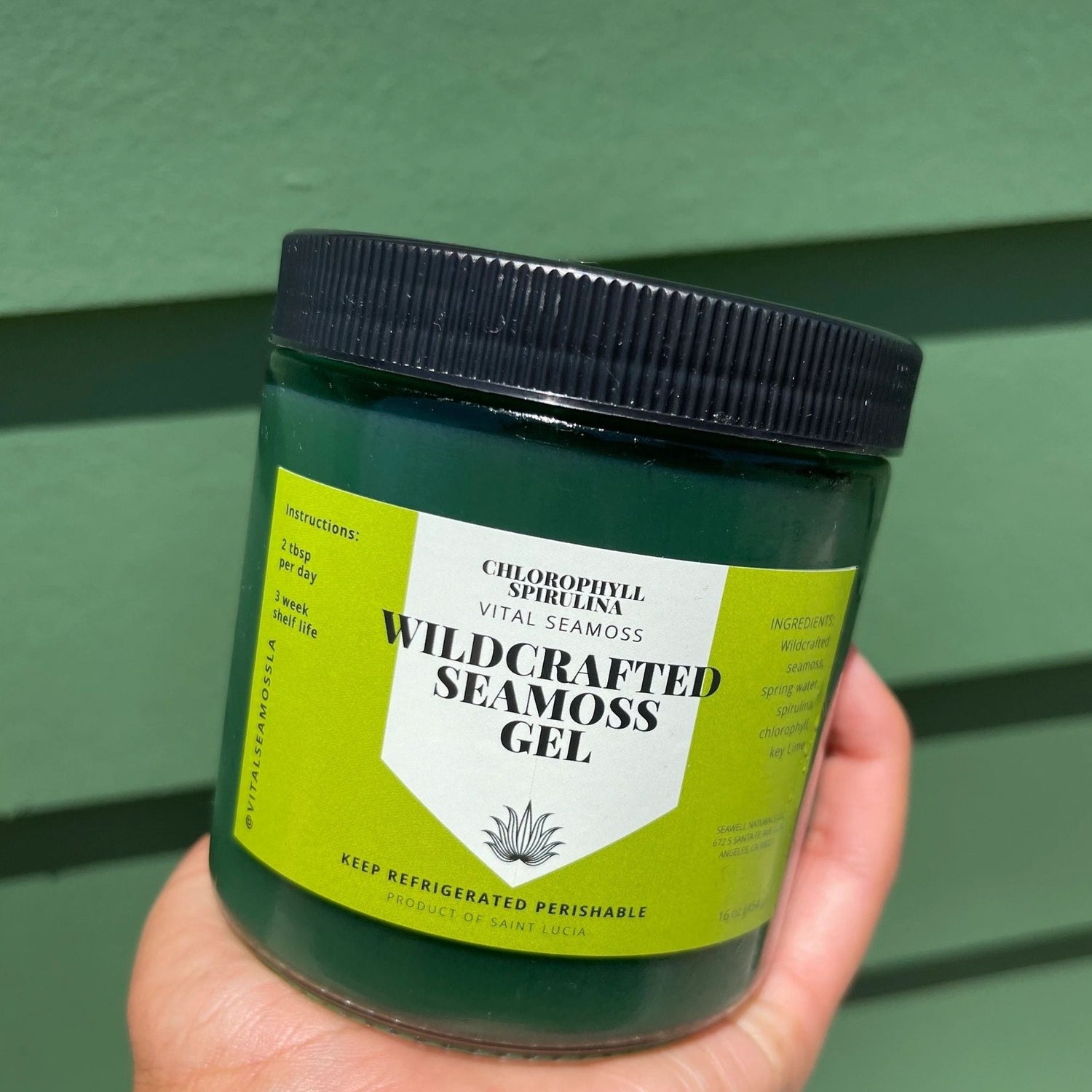 Chlorophyll Sea moss