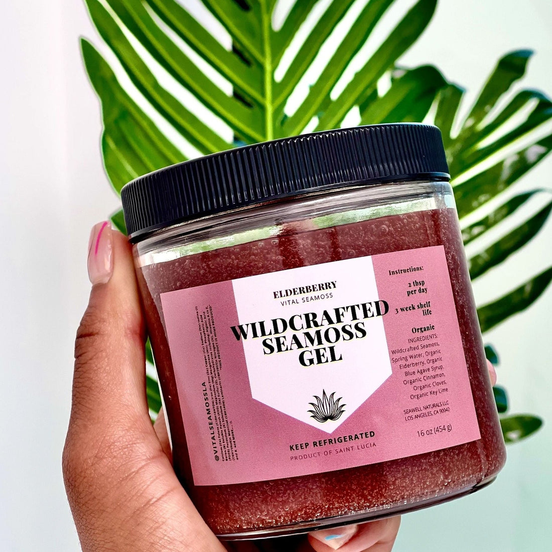 Wildcrafted Elderberry Sea moss